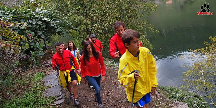 Rutas y senderismo. Camino de Santiago.