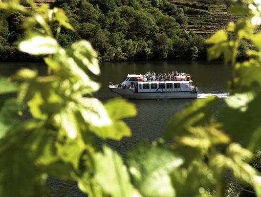 viajes en catamarán por el río miño