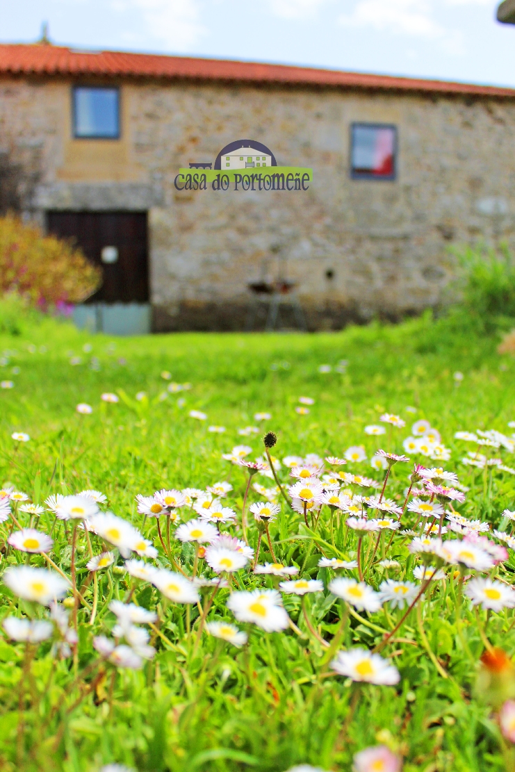 casa alquiler vacacional grupos galicia