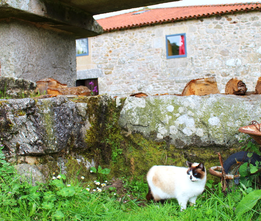 pet friendly casarural galicia